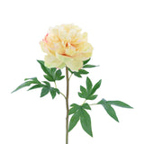 FL10808 PEONY SPRAY,26in-12P/96/7.5'