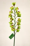 FL10834 MINI CYMBIDIUM,33in-12P/72/6.04'