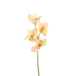 FL11229 CYMBIDIUM SPRAYx4F,22in-12P/96/6.37