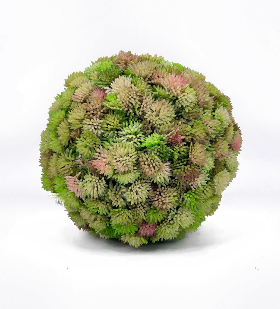 succulent with balls FL11643 SUCCULENT BALL,9in-6P/12/5.46' – Green Import Limited