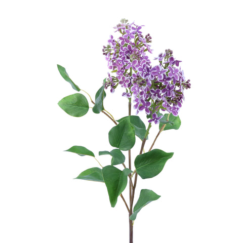 FL11771 LILAC SPRAY w/LVS,32in-12/72P