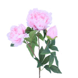 FL11905 PEONY SPRAYx3F,29in-12P/96/9.89'