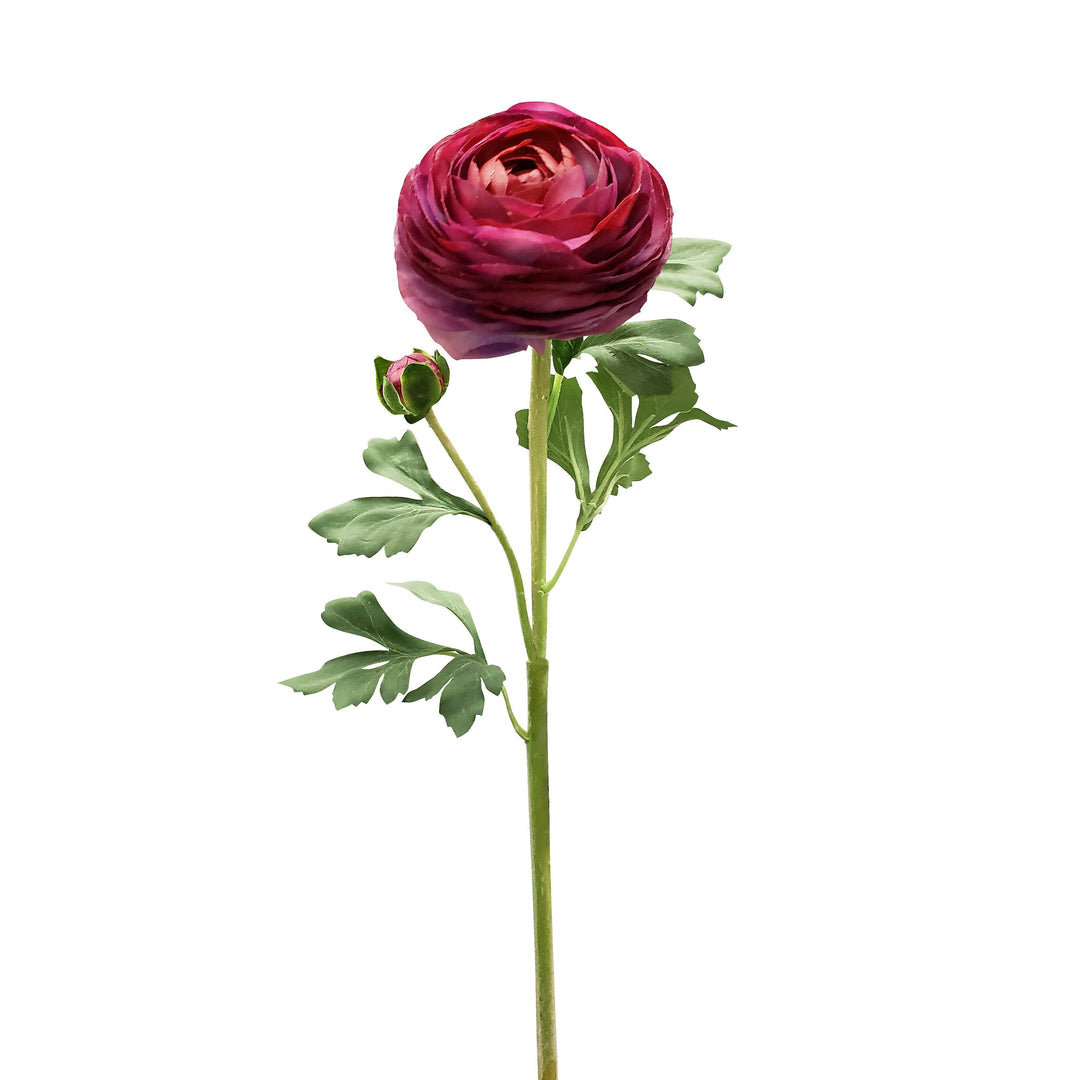 未使用級✨️23年 18,5万 フォクシー RANUNCULUS 40 メロン Ranunculus – Green Import Limited