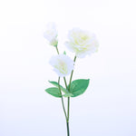 FL12084 DOUBLE LISIANTHUS SPRAYx4F,31in-12P