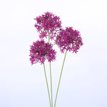 FL13082 ALLIUM SPRAYx3,25in-24P/144/9.25'