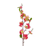 FL13284 APPLE BLOSSOM SPRAY,35"