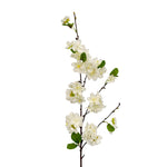 FL13284 APPLE BLOSSOM SPRAY,35"