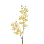 FN20014 VANDA ORCHID (NAT),28in-12P/120/7.4