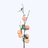 FR10026 APPLE BRANCHx6,34in-24P