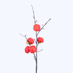 FR10029 PERSIMMON BRANCHx5F,29in-36P