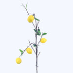 FR10031 LEMON BRNACHx6F,43.5in-12P