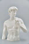 IP10221 RESIN DAVID STATUE,20.5in