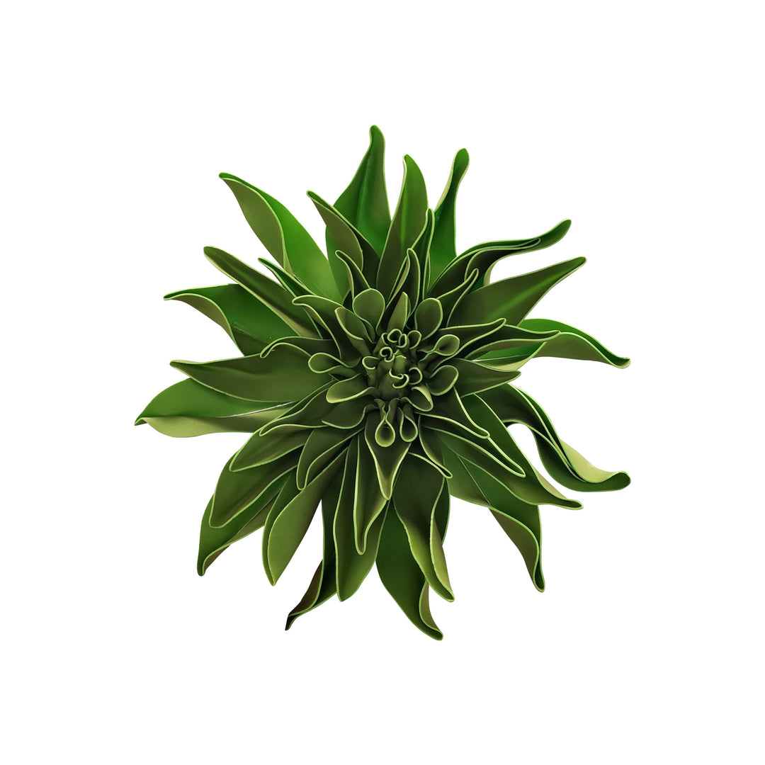 Dahlia – Green Import Limited