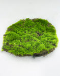 PM10273 ROUND ARTIFICIAL MOSS MAT,6in-12P