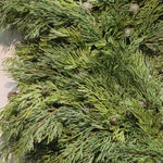 GG3279 SOFT CEDAR & CONE GARLAND,10'