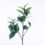 SY10604 CAMELLIA LEAF w/BUD SPRAY,27in-12P