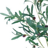 SY10673 OLIVE w/FRUIT TREE BRANCH,30in