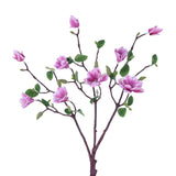 SY20009 MAGNOLIA TREE BRANCH,25in