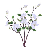 SY20009 MAGNOLIA TREE BRANCH,25in