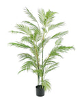 TR10502 POTTED DATE PALM TREE,5'-2P/2.5'