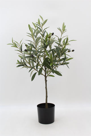 TR10741 OLIVE TREE,30in-6P