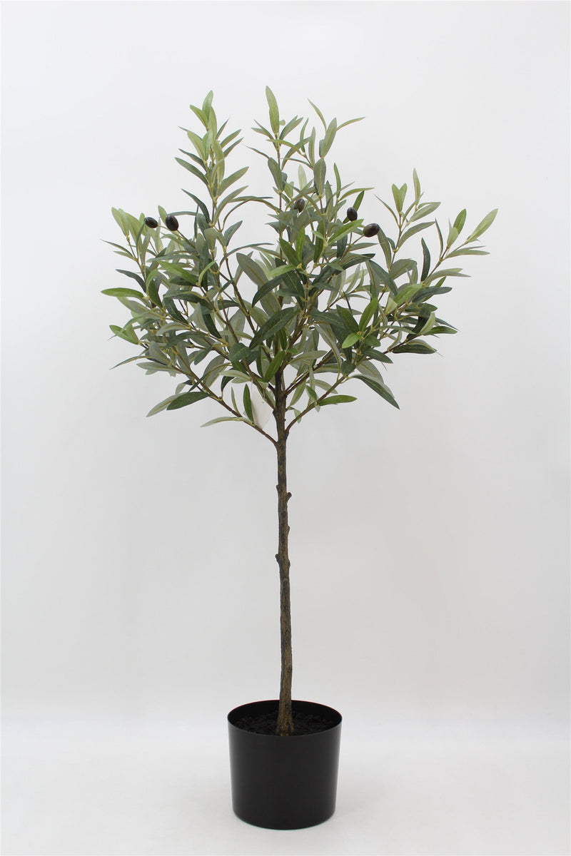 TR10742 OLIVE TREE,3'-4P – Green Import Limited