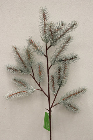 XM11708 BLUE SPRUCE PINE SP,32in-12P/48/6.3