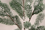 XM12141 PINE SPRAY w/SNOW,32.5in-12P/96/4.1