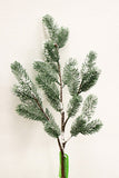 XM12141 PINE SPRAY w/SNOW,32.5in-12P/96/4.1