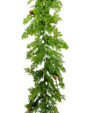 XM13046 CEDAR w/PINECONE GARLAND,10'