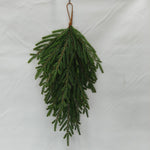 XM13603 NORFOLK PINE SWAG,27.5"