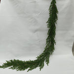 XM13604 NORFOLK PINE GARLAND,6'