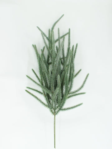 XM13643 FROSTED LONG PINE WEEPING BUSH,38"